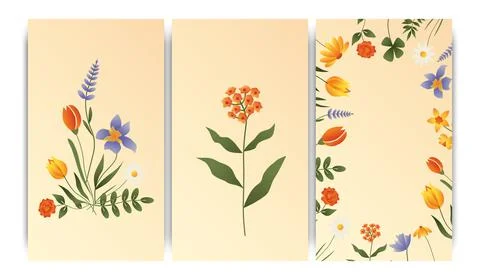 Set of vector illustrations, story templates, postcards, floral theme, spring Stock Illustration
