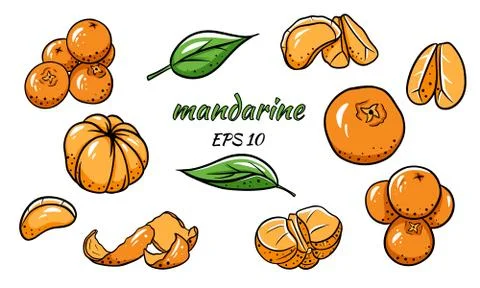 Set of vector illustrations of tangerines. Mandarin. Stock Illustration