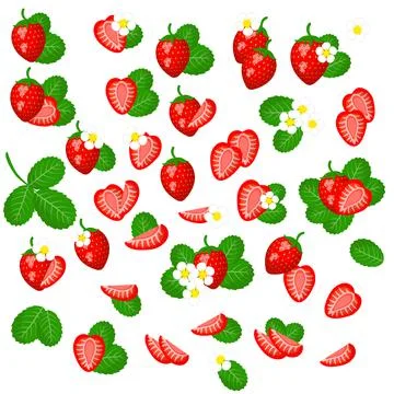 Set of vector illustrations Wild Strawberry Stock Illustration