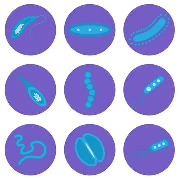 A set of vector images of bacterial microorganisms Stock Illustration