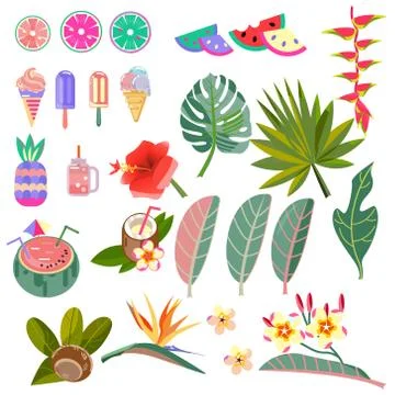 Set vector images of leaves, flowers and fruits. Stylization Caribbean gardening Stock Illustration