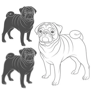 Set of vector images of pug. Isolated objects on a white. Stock Illustration