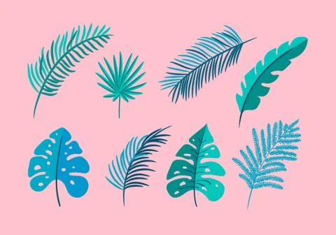Set of vector isolated flat leaves palm, exotic on pink background. Summer Illustrazione stock