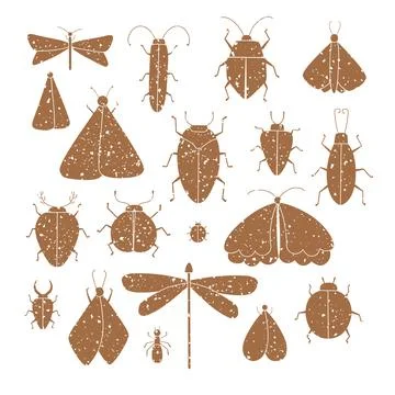 Set of vector isolated grunge insects illustrations. Silhouette of butterfly Stock Illustration