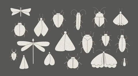 Set of vector isolated grunge insects illustrations at dark background Stock Illustration