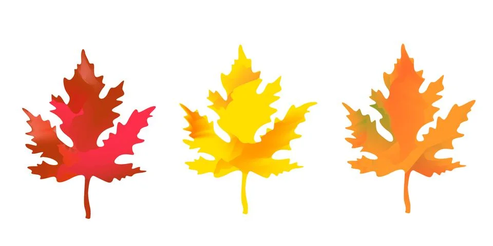 Set of vector isolated multi-colored maple leaves on a white background Stock Illustration
