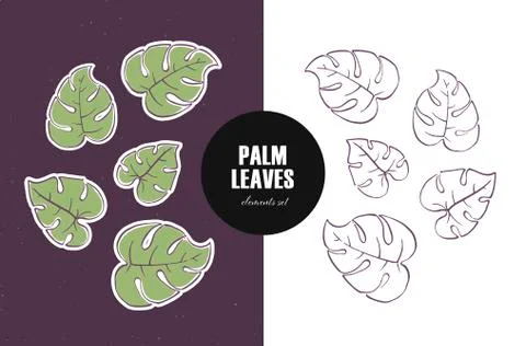 Set of vector leaf design elements. Cute flat green leaves silhouette 스톡 일러스트