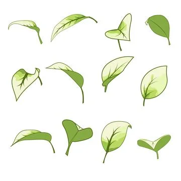 A set of vector leaf illustrations with delicate green gradients and neat v.. 스톡 일러스트