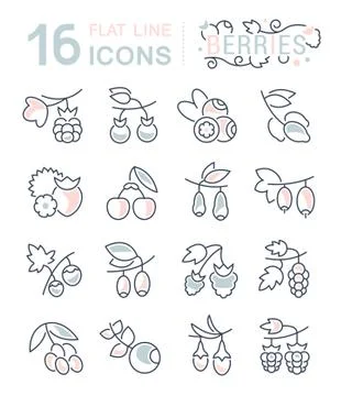 Set Vector Line Icons of Berries. Free Stock Illustration