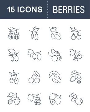 Set Vector Line Icons of Berries. Free Stock Illustration
