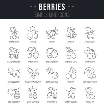Set Vector Line Icons of Berries. Free Stock Illustration