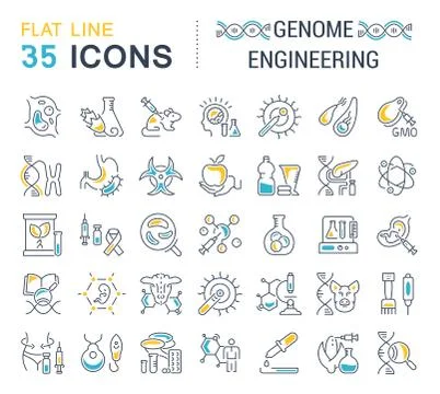 Set Vector Line Icons of Genome Engineering. Stock Illustration