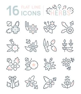 Set Vector Line Icons of Herbs. Free Stock Illustration
