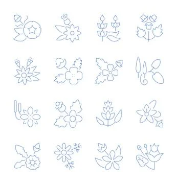 Set Vector Line Icons of Herbs. Stock Illustration