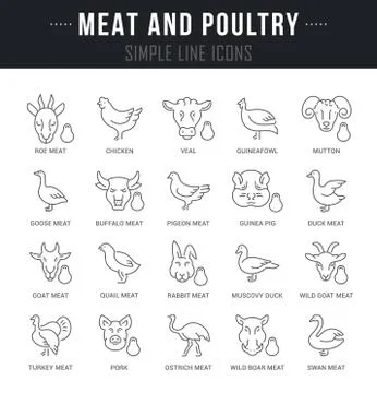 Set Vector Line Icons of Meat and Poultry. Free Stock Illustration