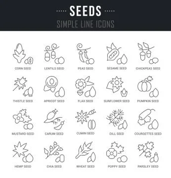 Set Vector Line Icons of Seeds Free Stock Illustration