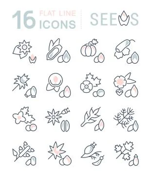 Set Vector Line Icons of Seeds Free Stock Illustration