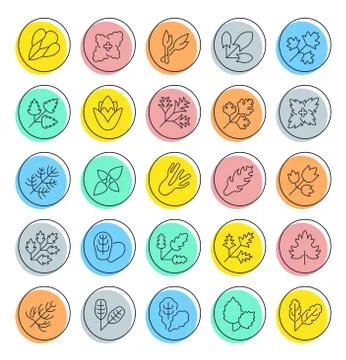 Set Vector Line Icons of Spices and Seasonings. Free Stock Illustration