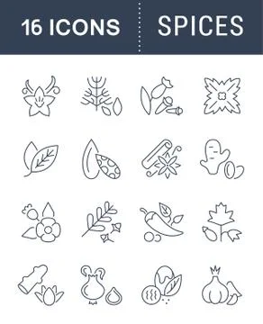 Set Vector Line Icons of Spices. Free Stock Illustration