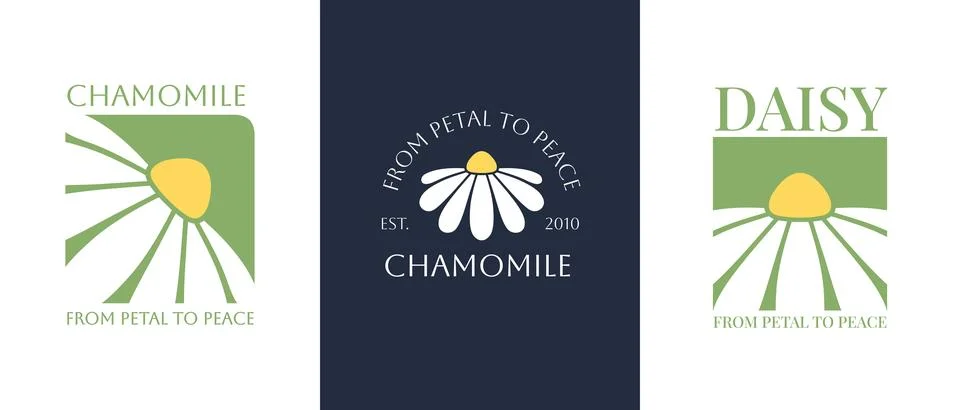 Set of vector logo of chamomile flower. Branding concept idea for herbal me.. Stock Illustration