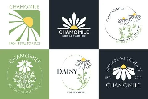 Set of vector logo of chamomile flower. Modern hand drawn vector daisy icon.. Stock Illustration