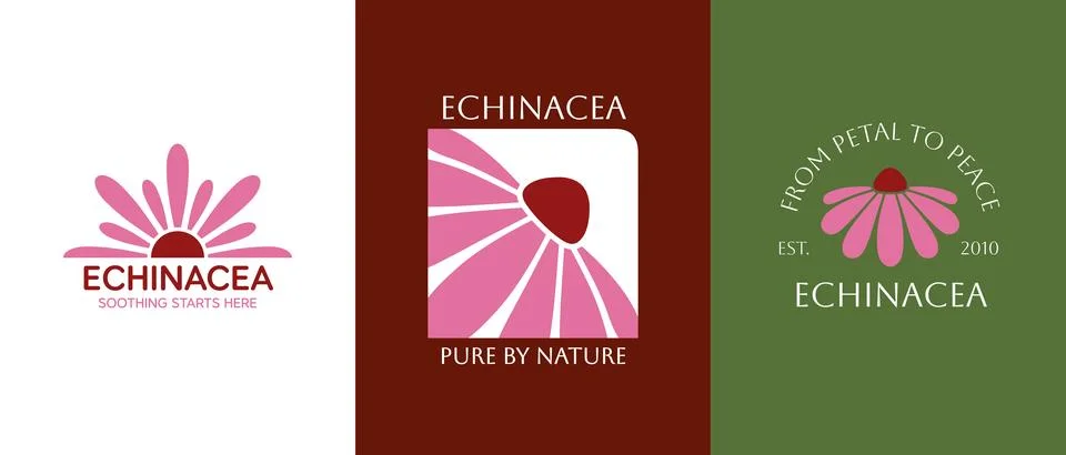 Set of vector logo of Echinacea flower. Branding concept idea for herbal me.. Stock Illustration