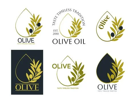 Set of vector logos of olive branch with leaves and drops. Modern hand draw.. Stock Illustration