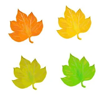 Set of vector maple leaves Stock Illustration