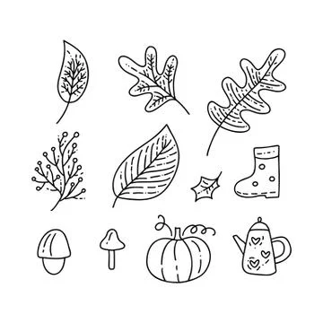 Set of vector monoline doodle floral elements. Autumn collection graphic design Illustrazione stock