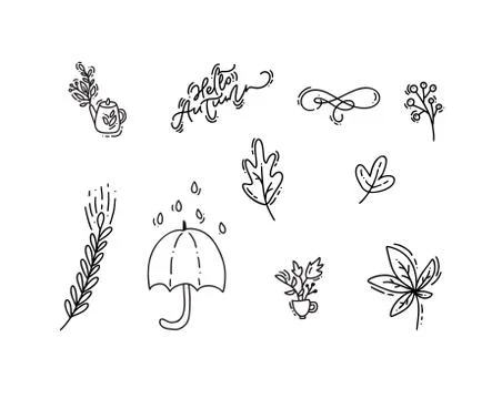 Set of vector monoline doodle floral elements. Autumn collection graphic design Illustrazione stock