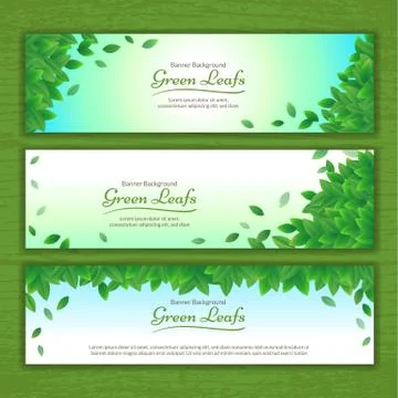 Set of vector nature background banner with green leaf frame Stock Illustration