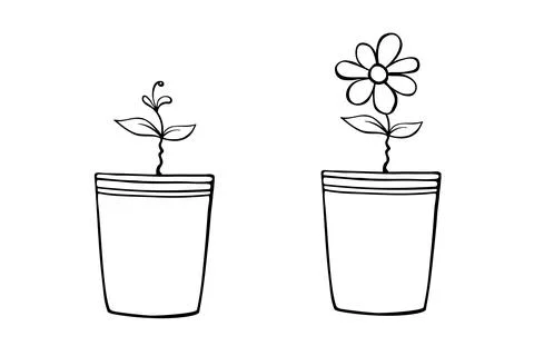 Set of vector outline pots with flower and plant sprout or seedlings in doodl Stock-Illustration