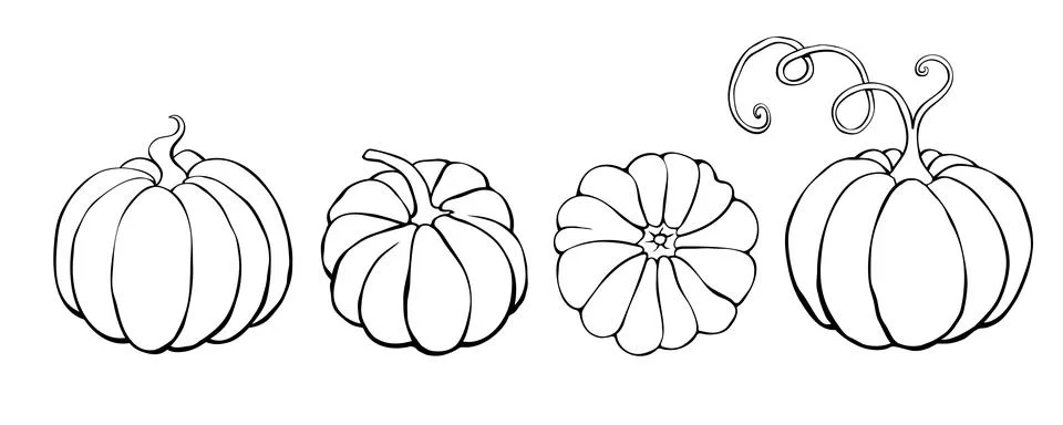 Set of vector outline pumpkins in doodle style. Symbol Halloween, autumn, cro Stock Illustration
