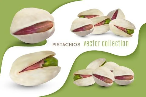 Set of vector pistachios nuts. Realistic salted kernel with dry shell. Pistache Stock Illustration