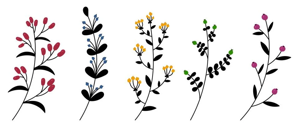 Set of vector plants and herbs. Hand drawn floral elements. Silhouettes of .. Illustrazione stock