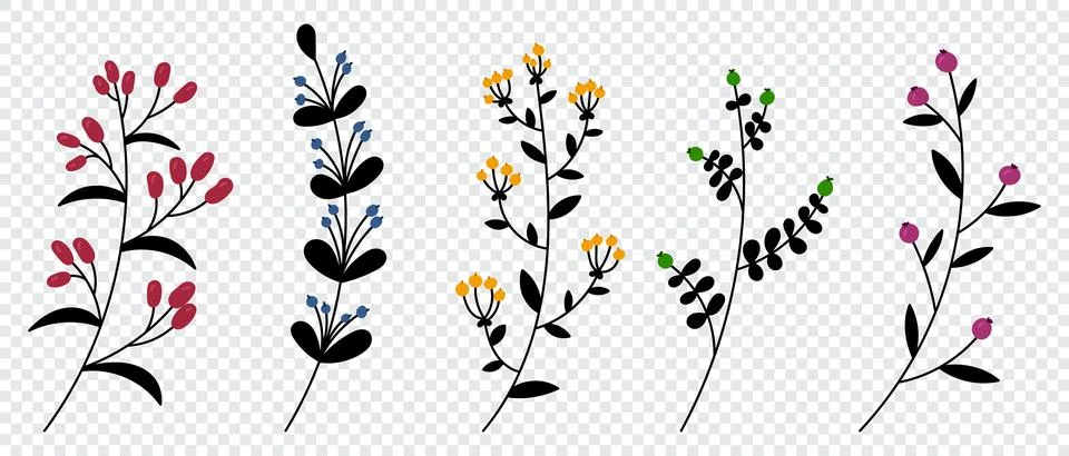 Set of vector plants and herbs. Hand drawn floral elements. Silhouettes of .. Stock Illustration