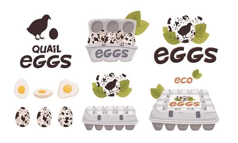 Set of vector quail eggs in different forms Stock Illustration