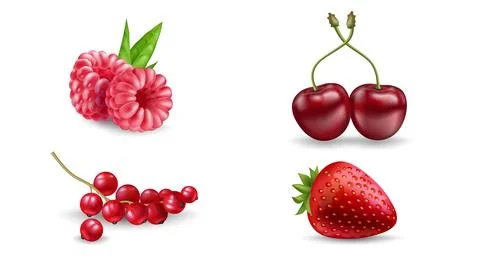 Set of vector realistic berries isolated on white background. Strawberry, r.. 库存插图