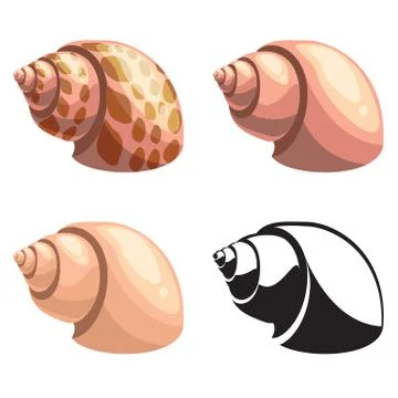 Set of vector shells Stock Illustration