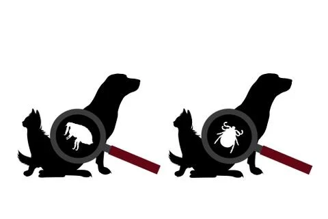 Set of vector silhouette of tick and flea under magnifying glass sitting on d イラスト素材