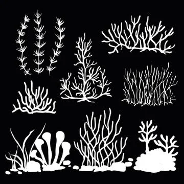 A set of vector silhouettes of algae and corals isolated on a black background Illustrazione stock