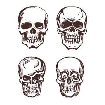 Set of vector skulls. Stock Illustration