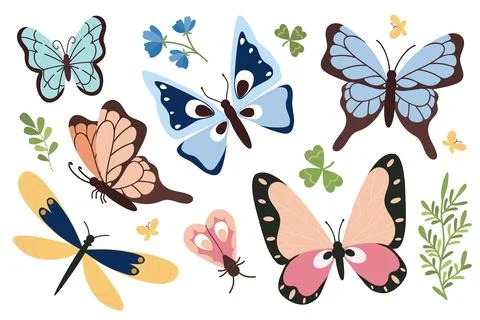 Set of vector spring insect illustrations. Summer tropical moths, butterfly Stock Illustration