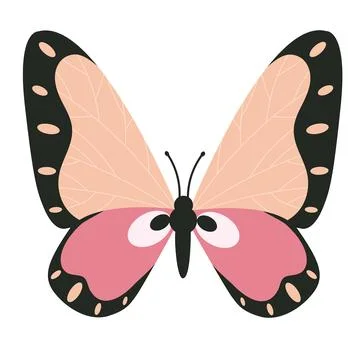 Set of vector spring insect illustrations. Summer tropical moths, butterfly Stock Illustration