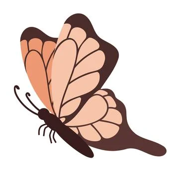 Set of vector spring insect illustrations. Summer tropical moths, butterfly Stock Illustration