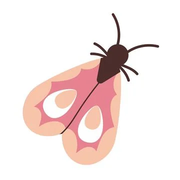 Set of vector spring insect illustrations. Summer tropical moths, butterfly Stock Illustration