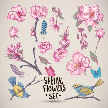Set of Vector Spring Nature elements Stock Illustration