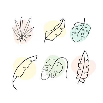 Set of vector summer leaves exotic palm. Isolated leaf icon on white background Stock Illustration