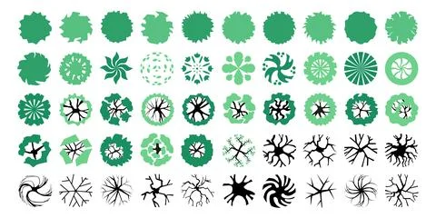Set of vector trees in top view for architectural landscaping plans イラスト素材