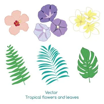 Set of vector tropical flowers and leaves illustration Stock Illustration